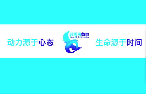 南京時間鳥教育咨詢 引領未來，成就卓越
