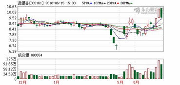 遠望谷002161 投資興辦實業，記憶之外的價值堅守
